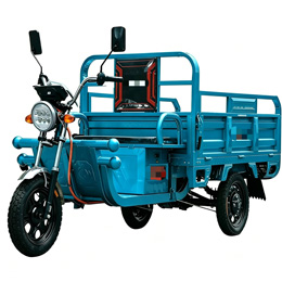 Cargo Electric Tricycle