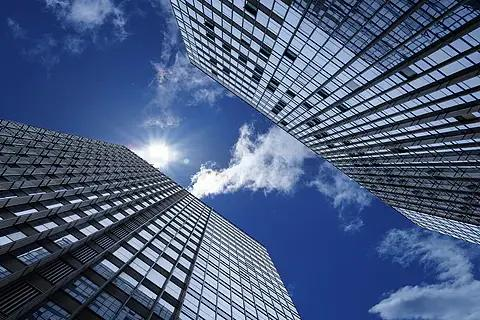 Company Info