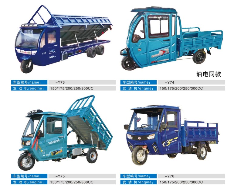 CARGO ELECTRIC TRICYCLE